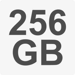 256GB